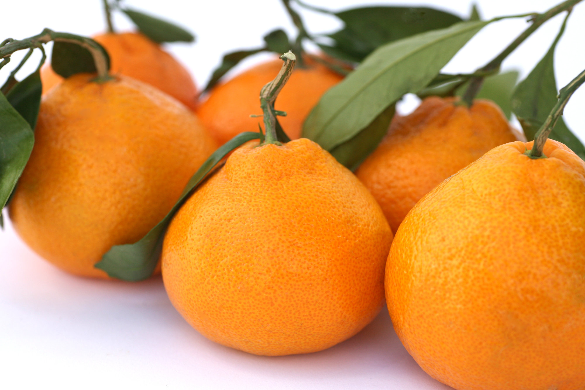 Tangerines/mandarins — Satsuma