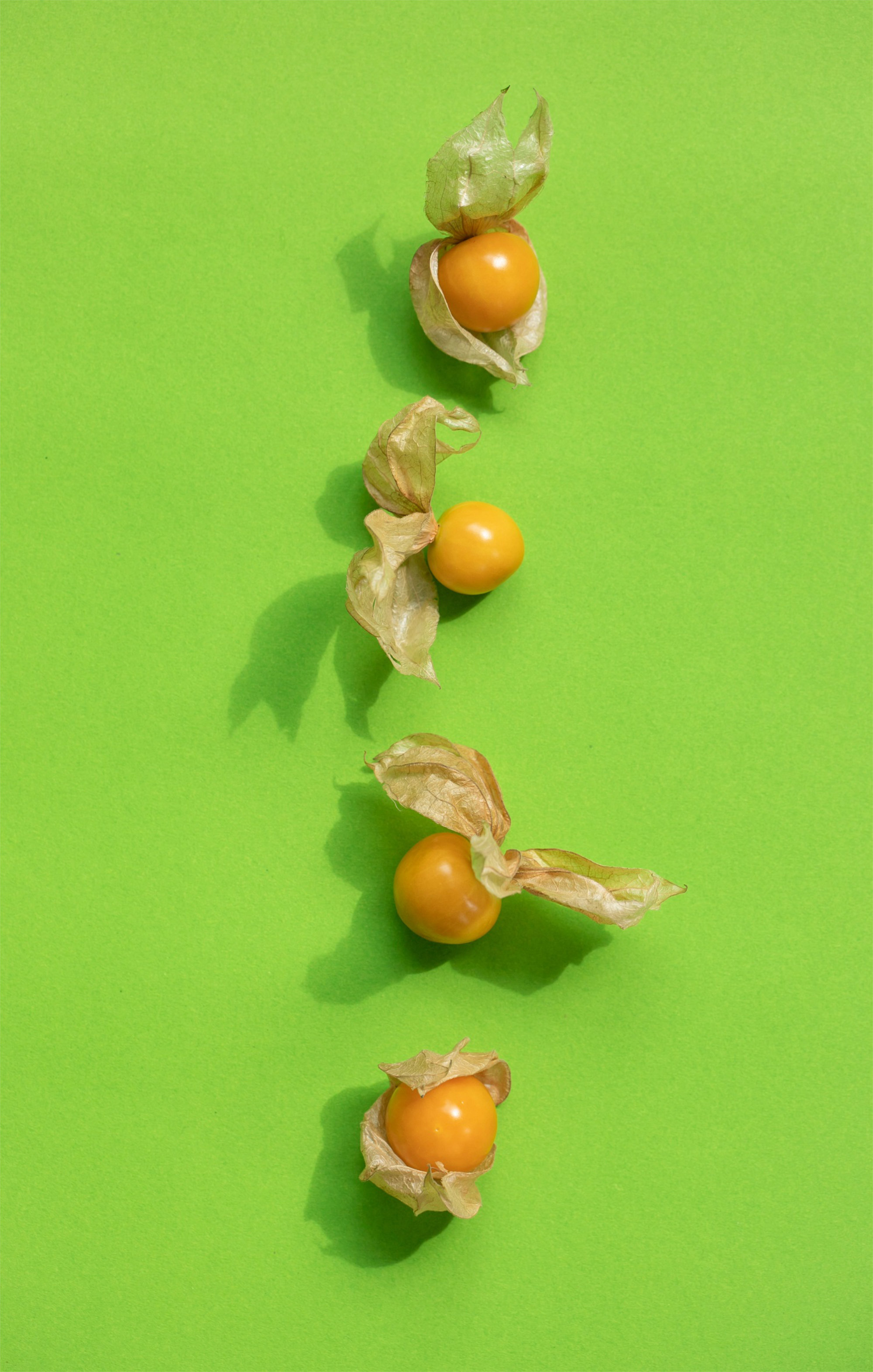 Physalis/cape Gooseberry/ground Cherry