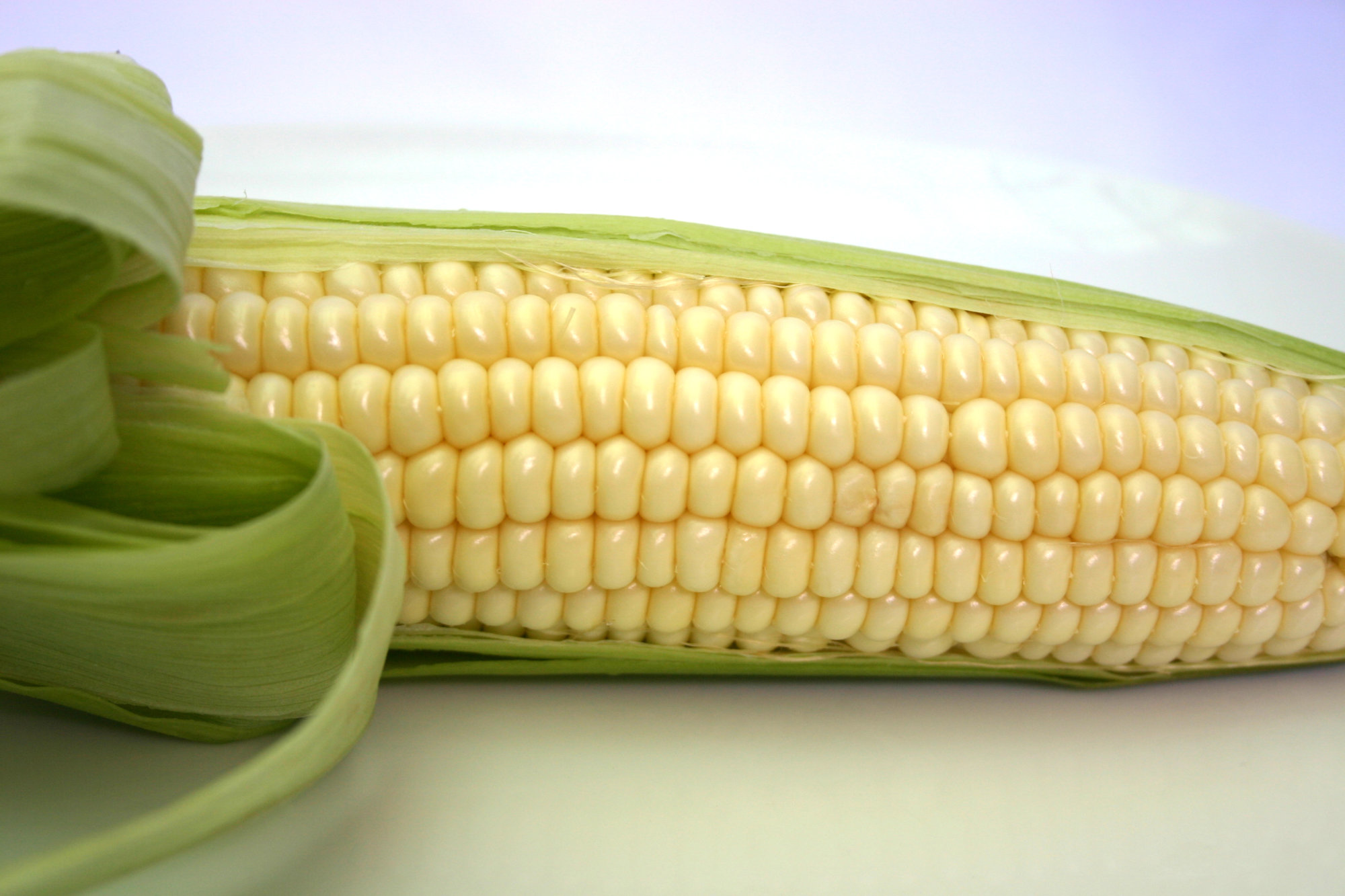 Corn — Indian, Strawberry