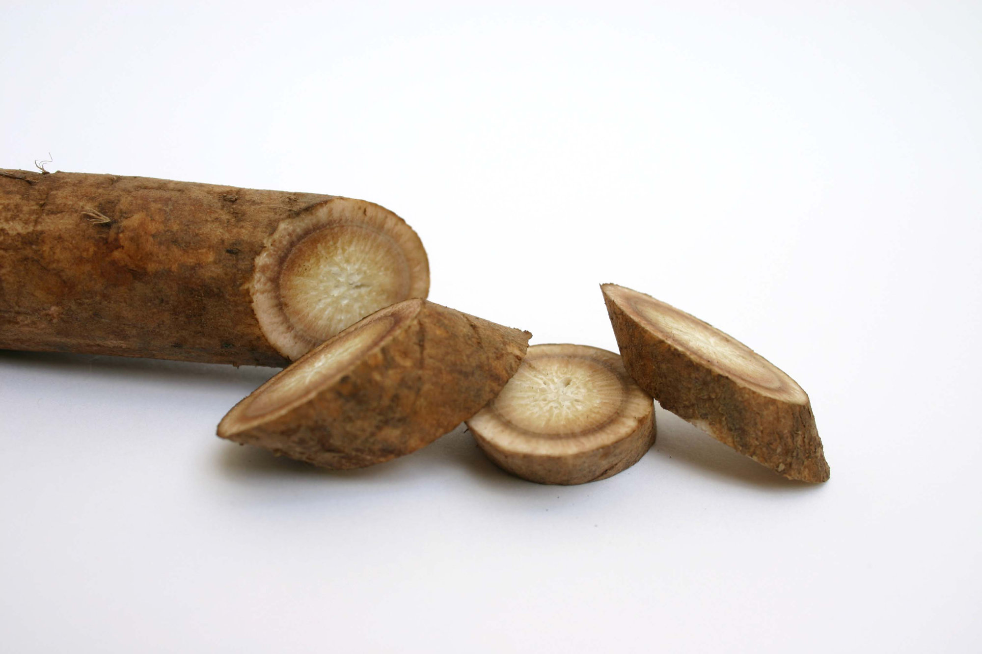 Gobo Root/burdock