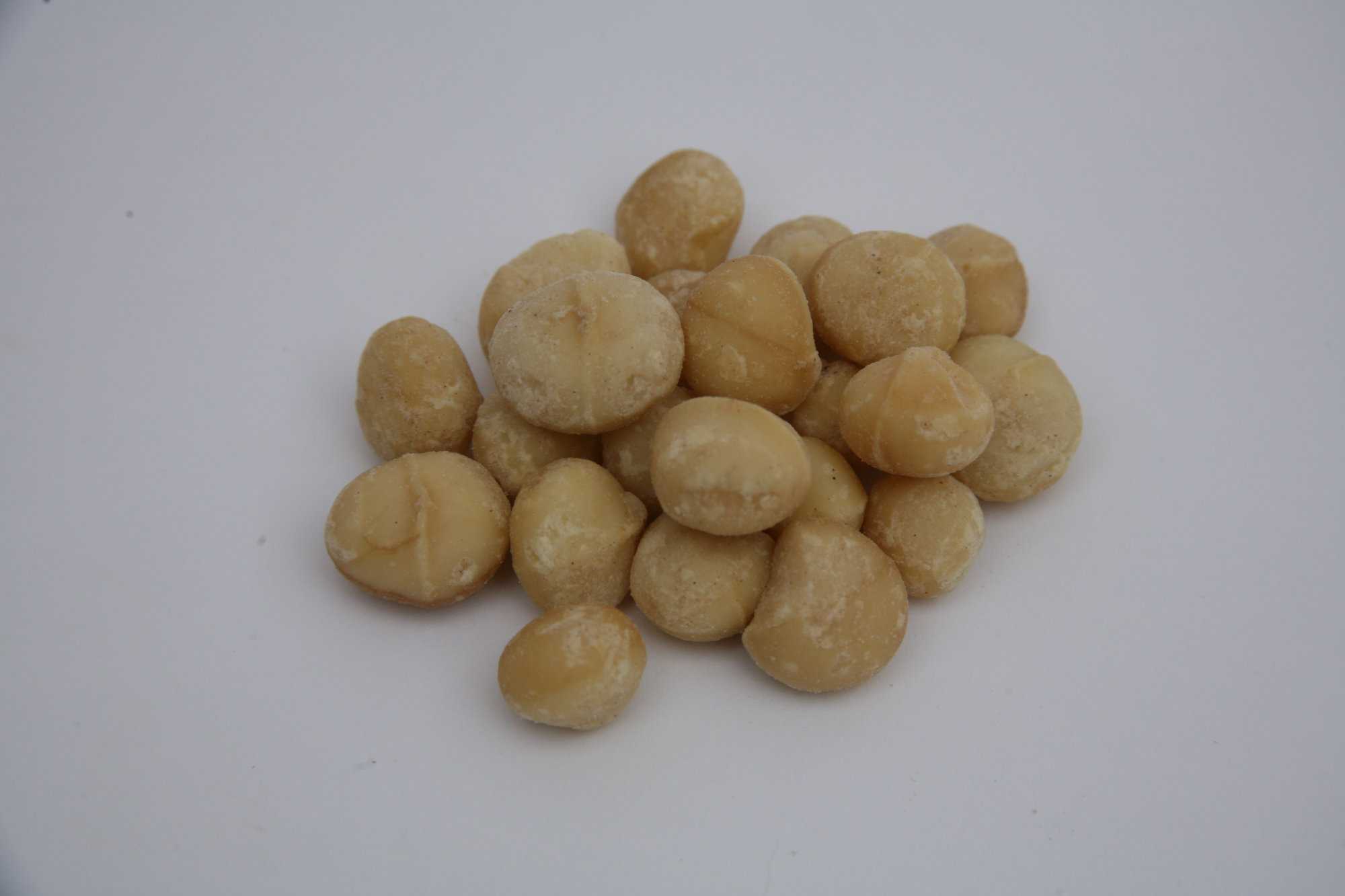 Macadamia