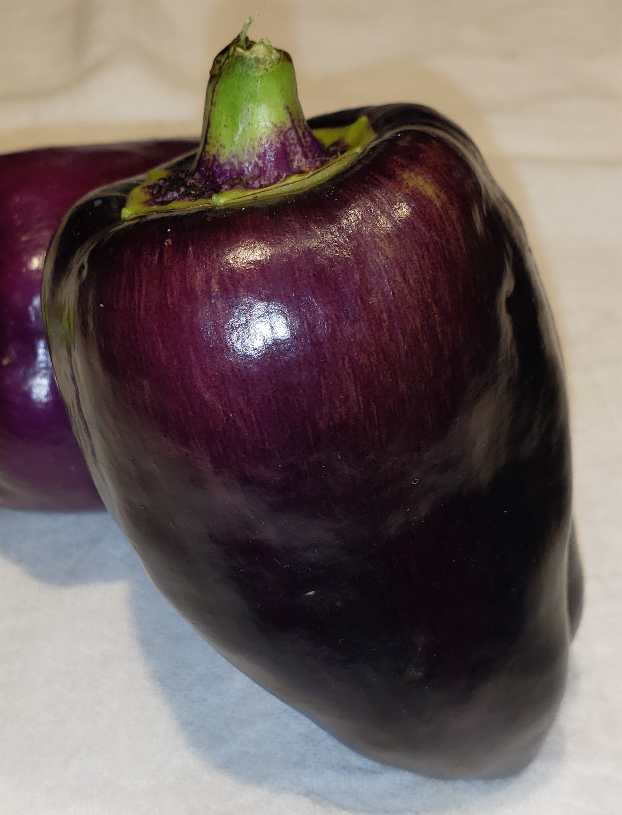 Peppers (Capsicums) — Bell, Greenhouse - Purple