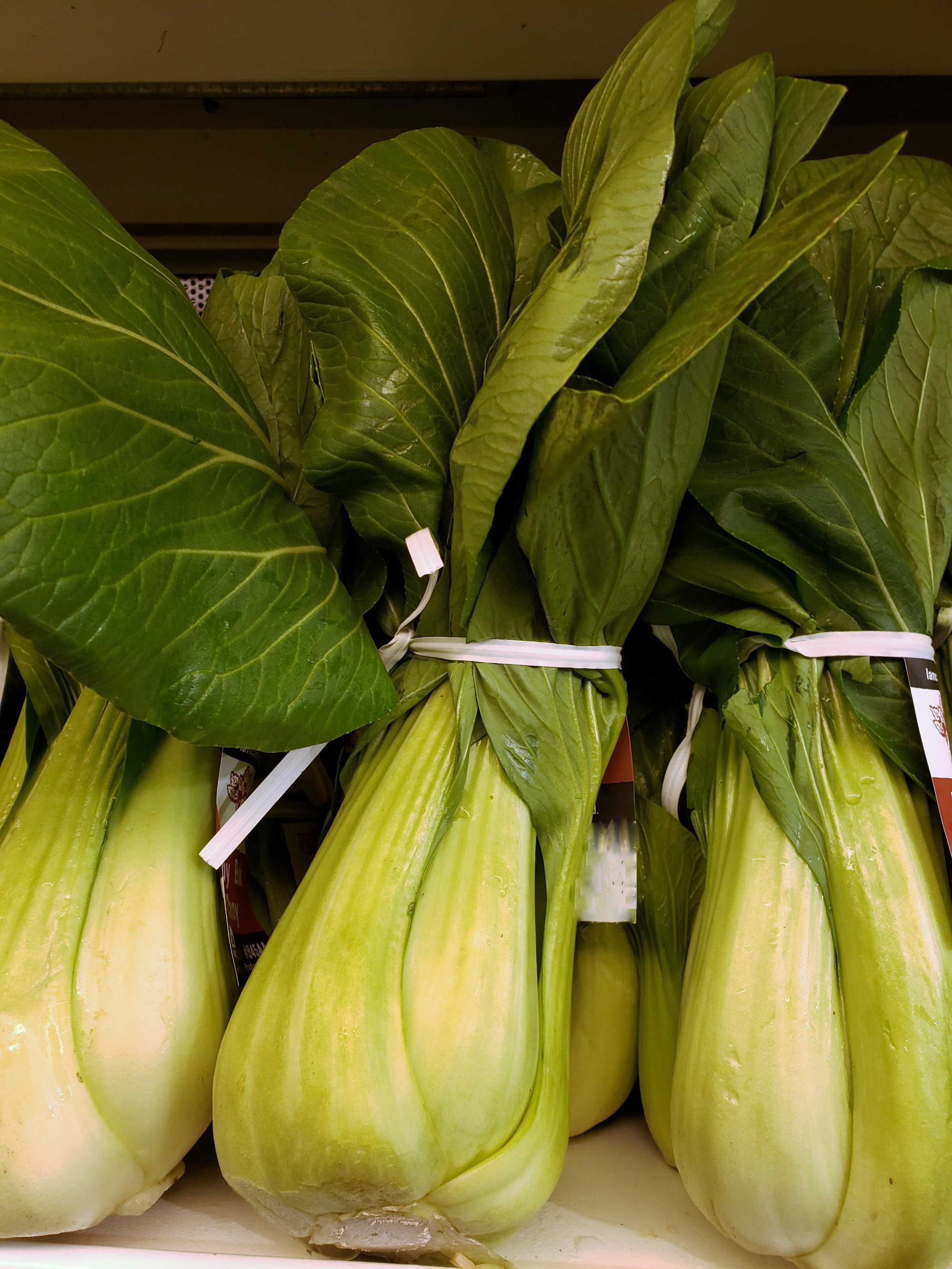 Bok Choy (Pak Choi) — Shanghai