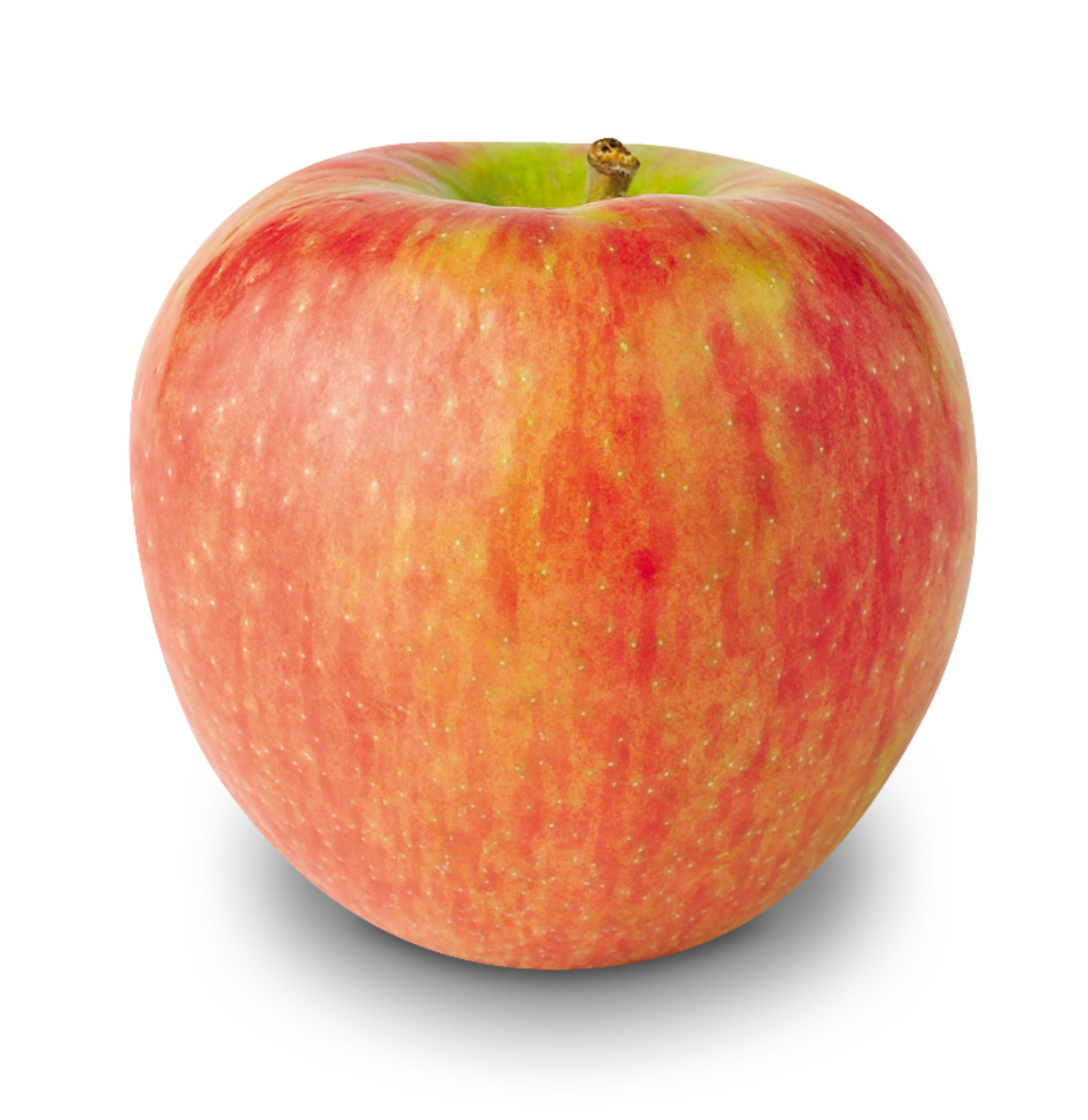 Apples — Honeycrisp