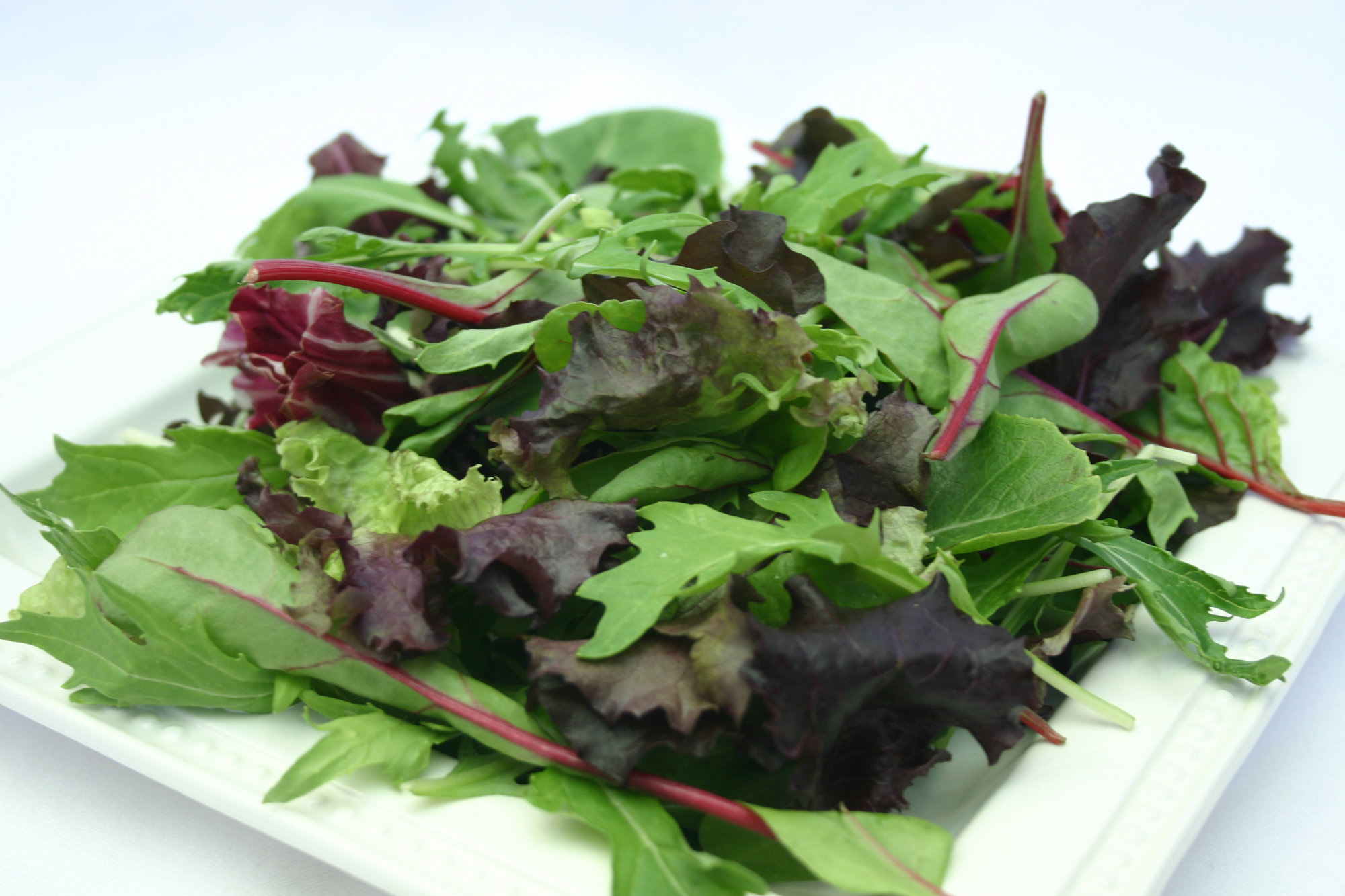 Lettuce — Mixed small-leaf salad (eg Sucrine, Mesclun, Rocket/Arugula)