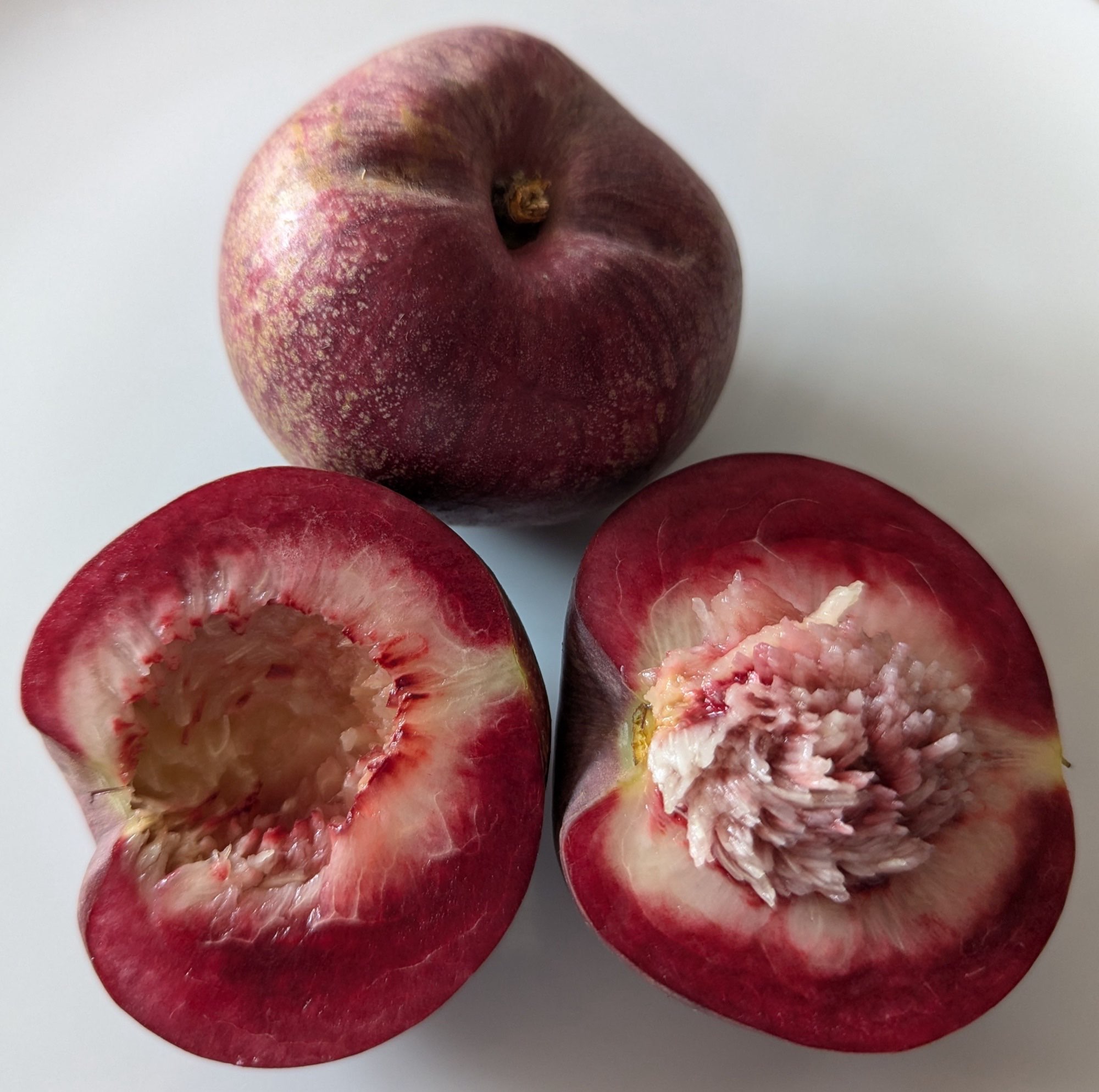 Nectarine — Nectavigne (Red Flesh)