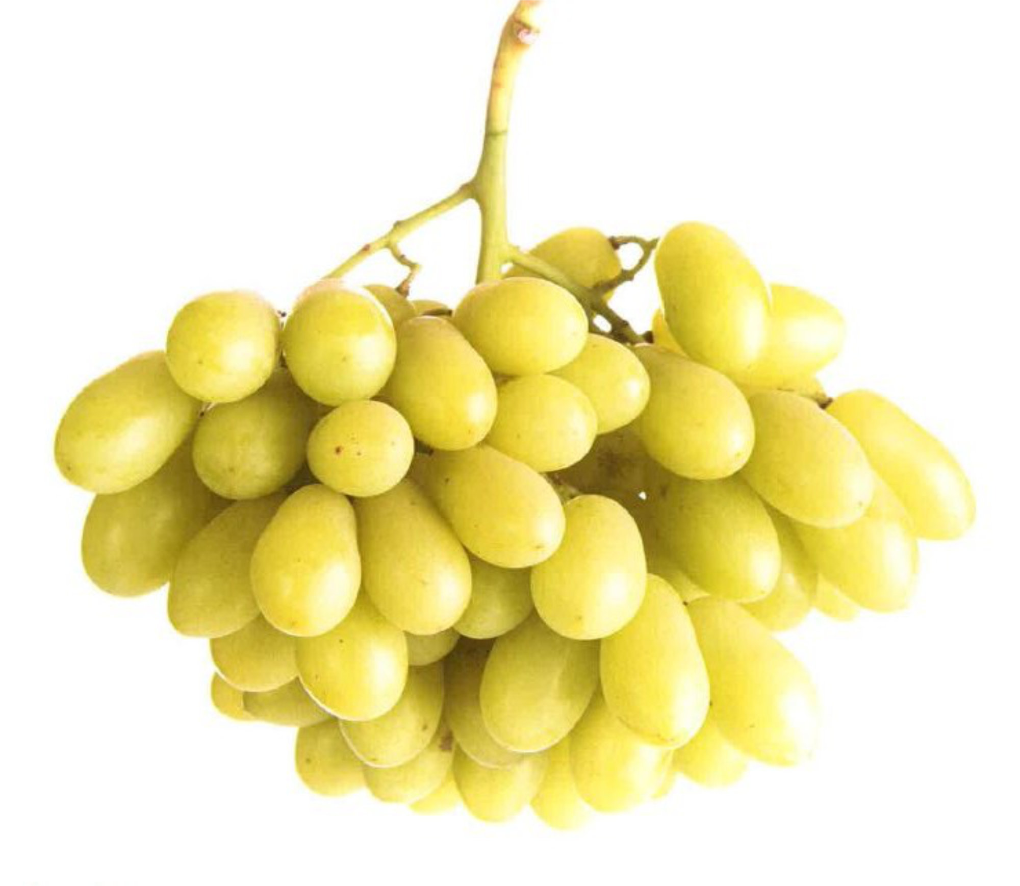 Grapes — ARRA FIFTEEN