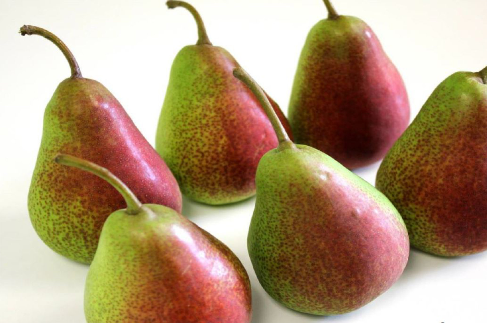 Pears — Celina