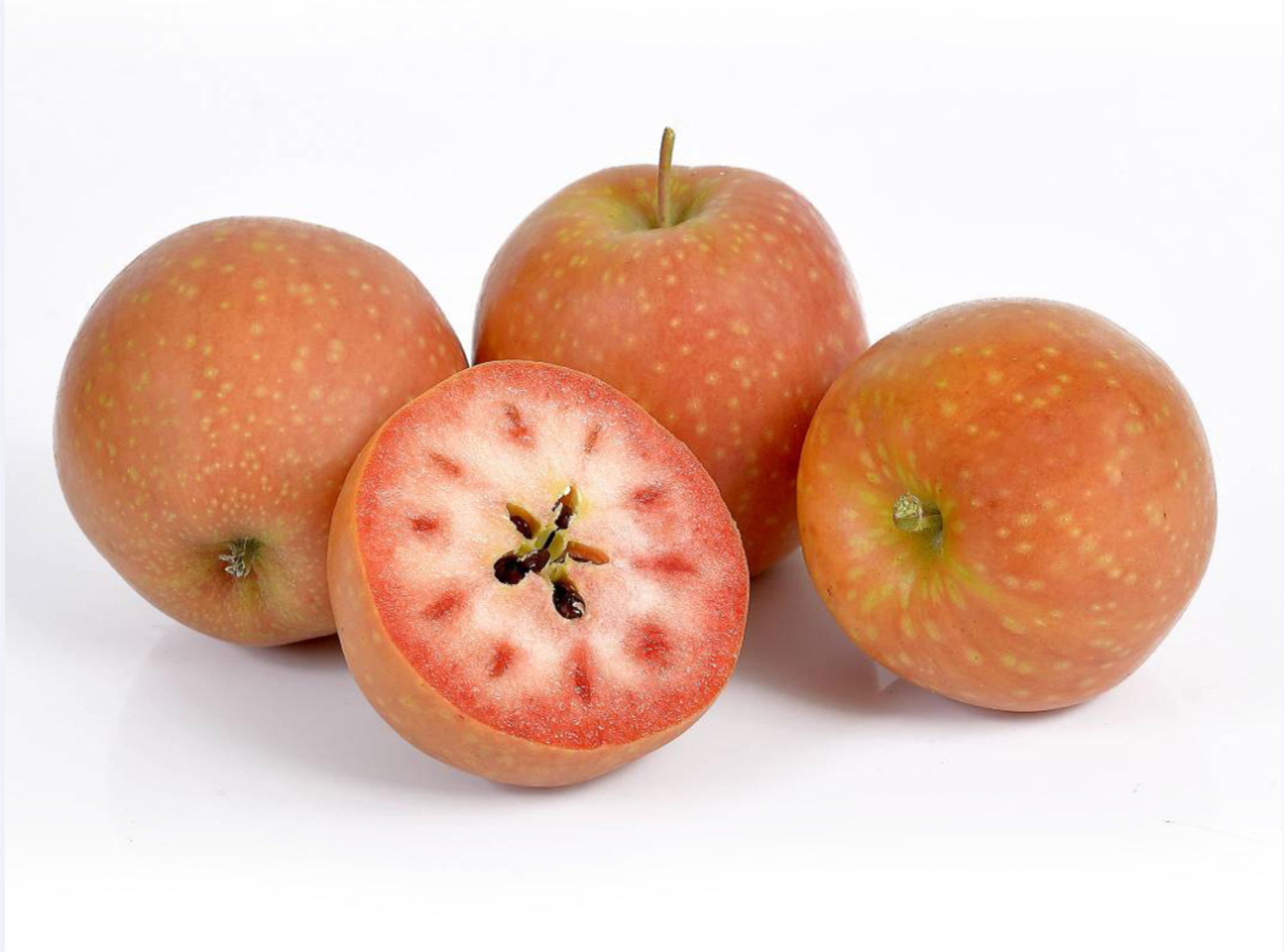 Apples — IFORED Y Series