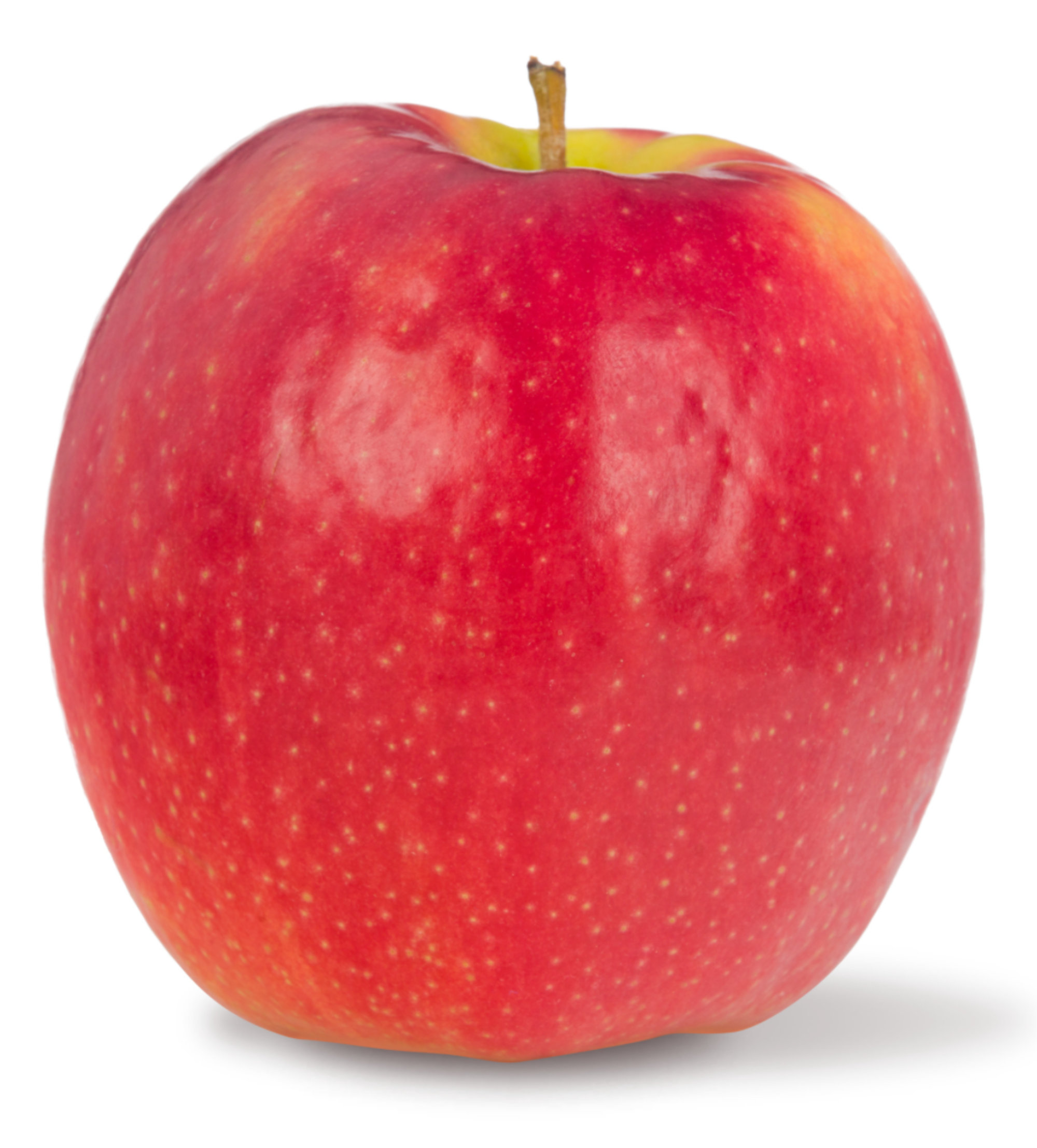 Apples — Cripps Pink