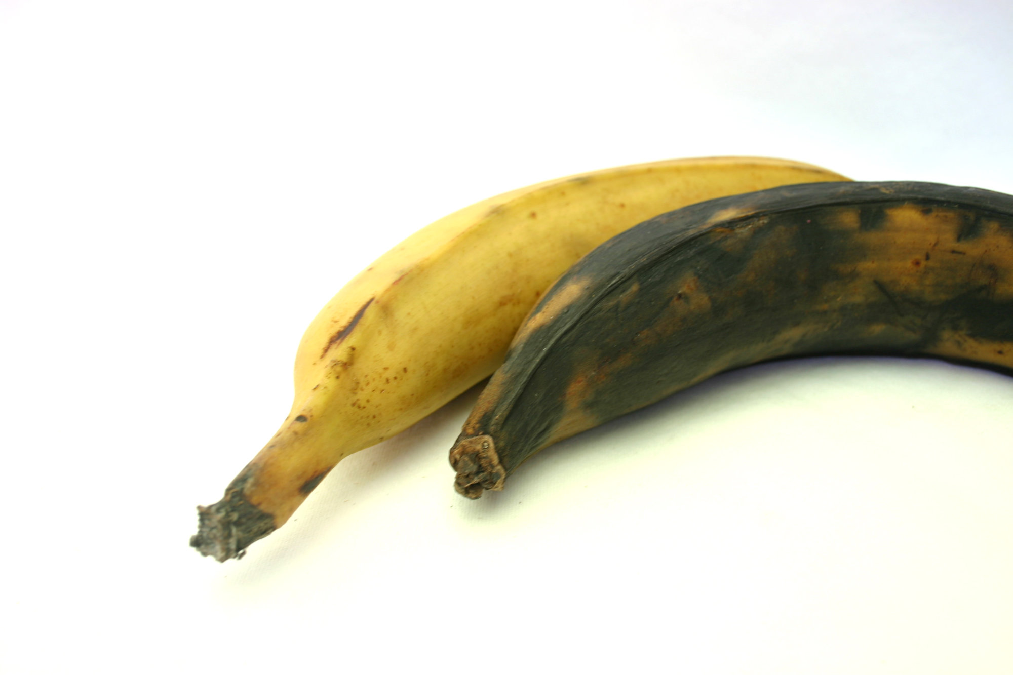 Bananas — Plantain/Macho