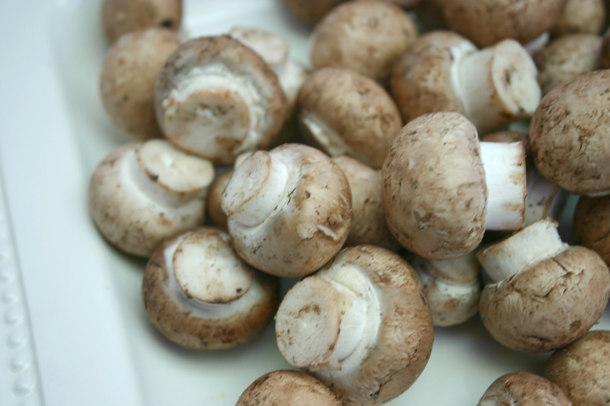 Mushrooms — Cremini/Brown/Swiss Brown