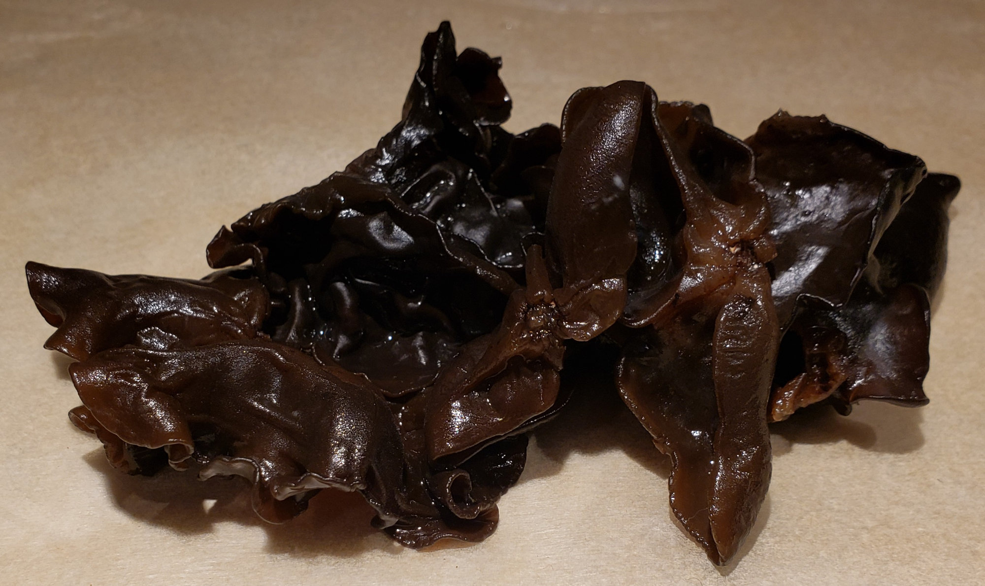 Mushrooms — Wood Ear