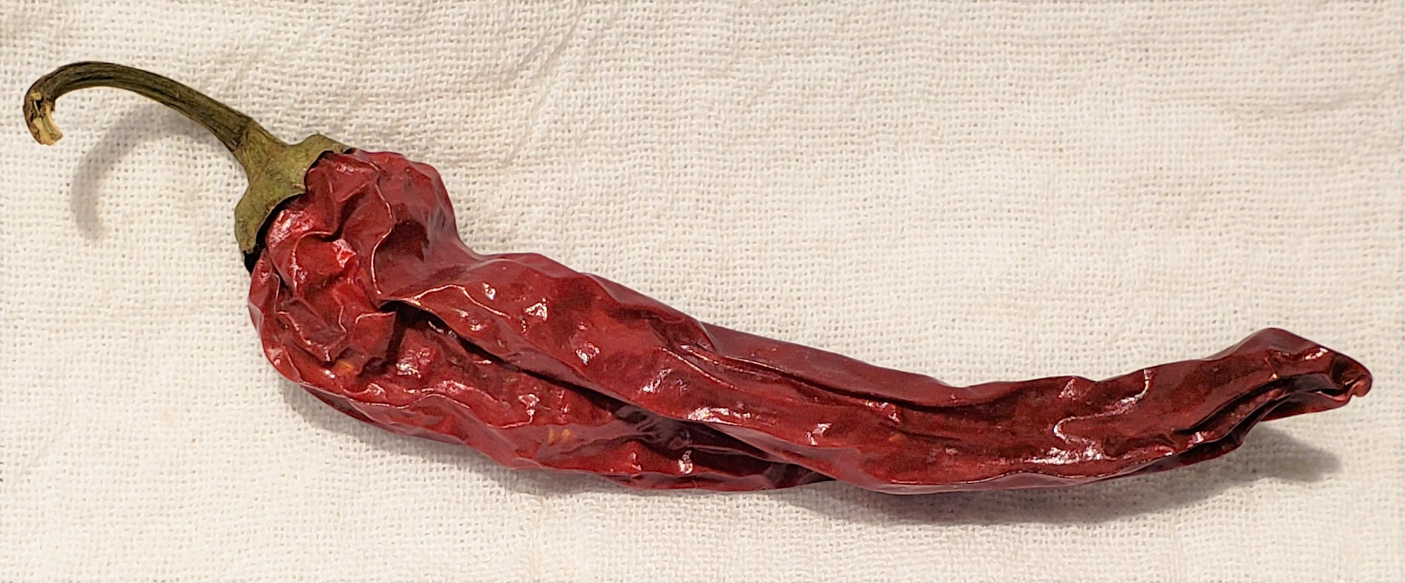 Peppers (Capsicums) — Chili - Dried