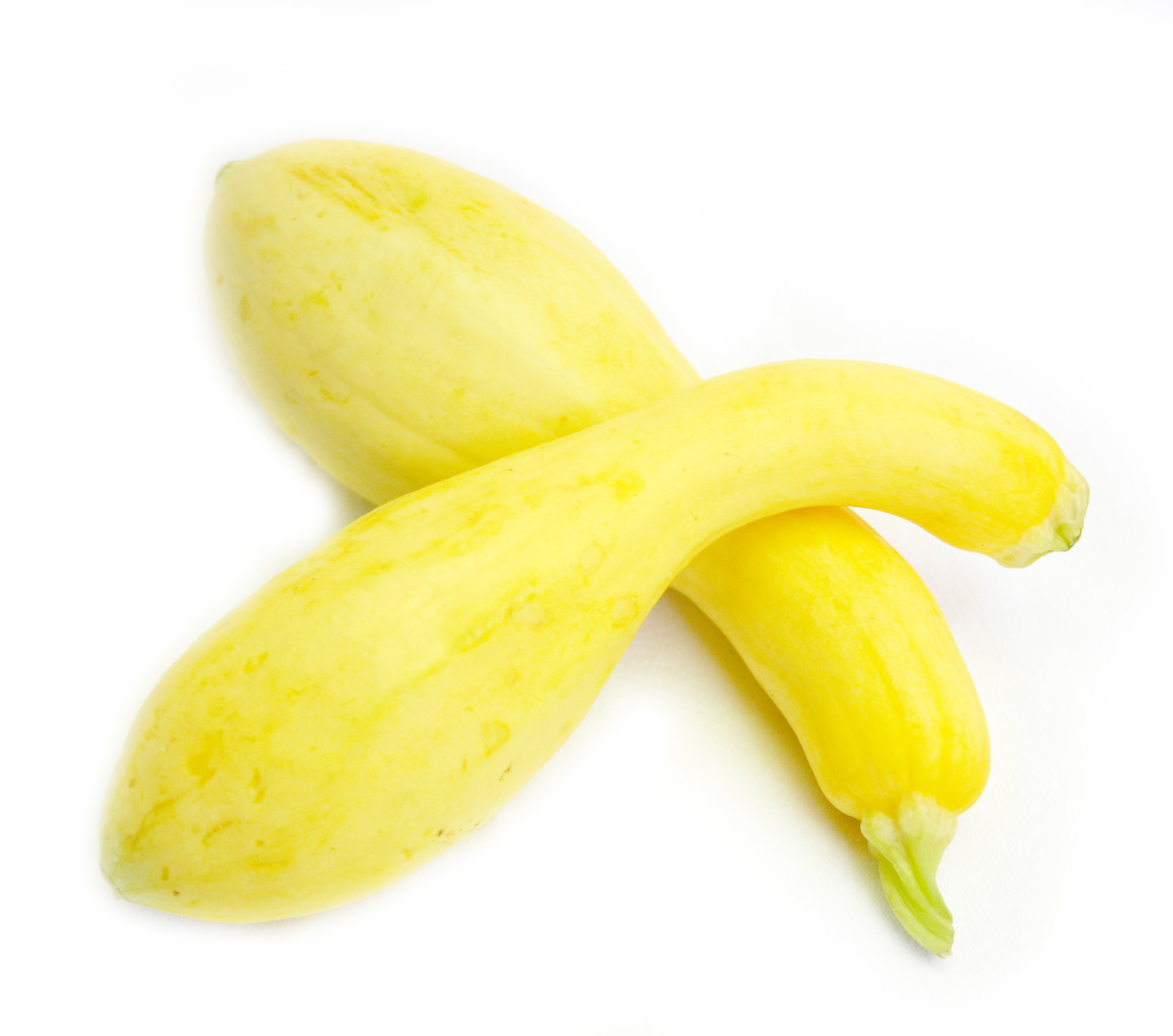 Squash — Yellow - Crookneck