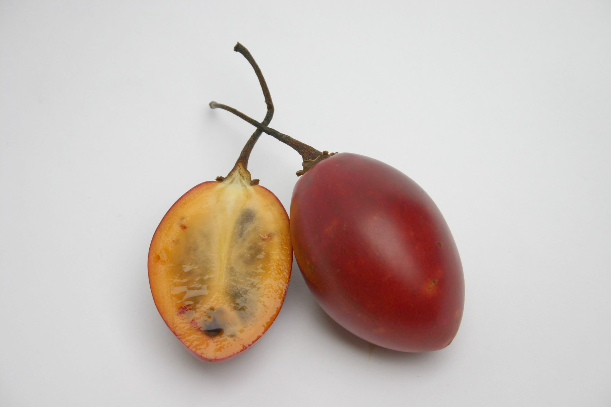Tamarillo — Red