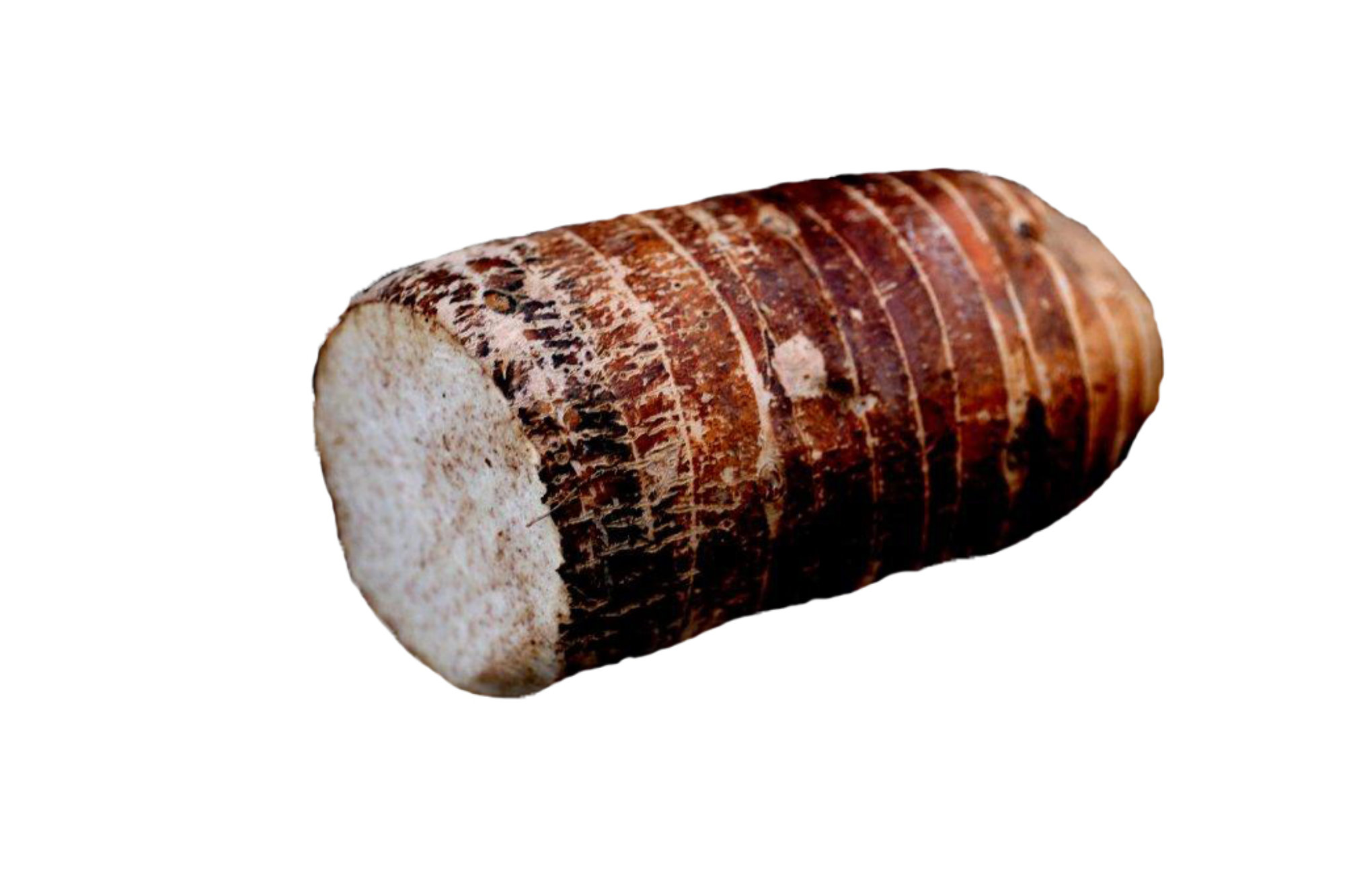 Taro Root (Dasheen)