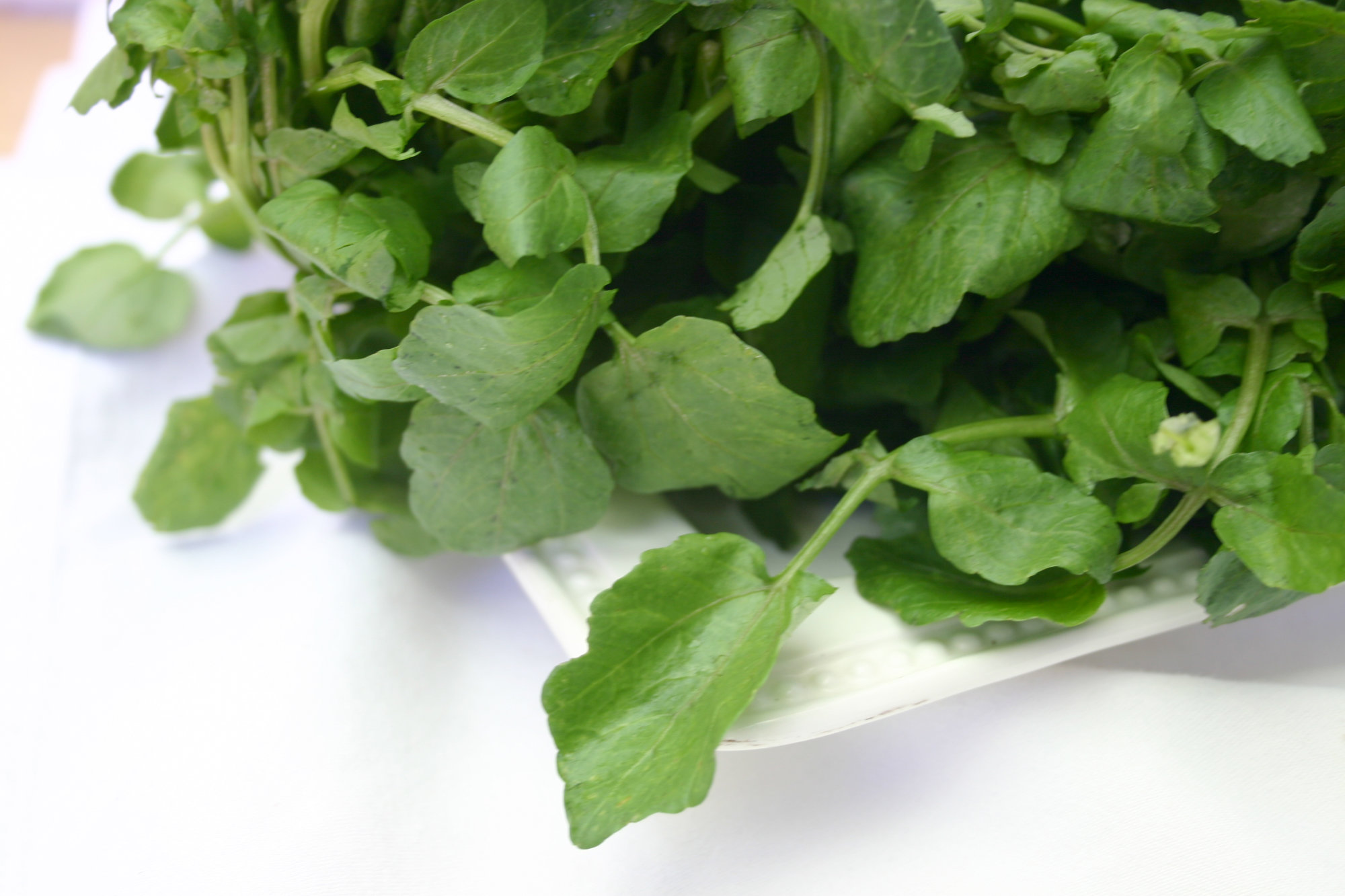 Watercress