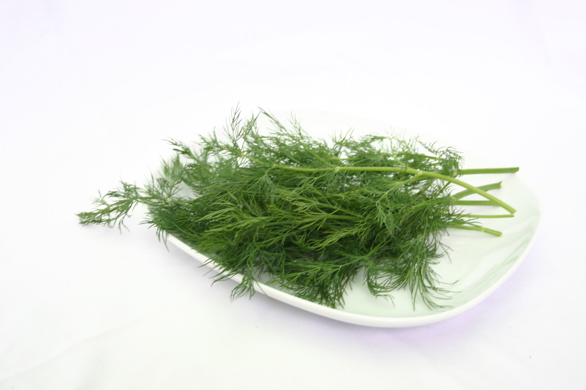 Dill — Baby