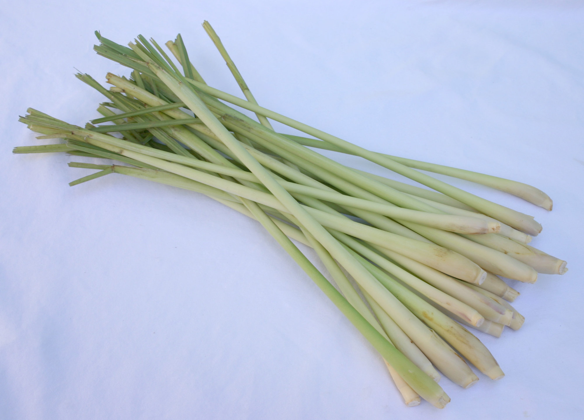Lemongrass