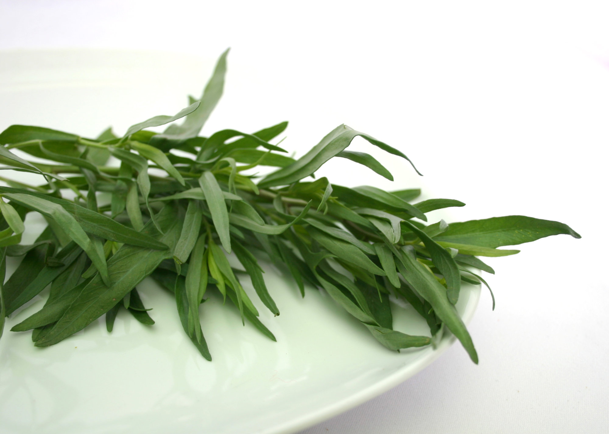 Tarragon